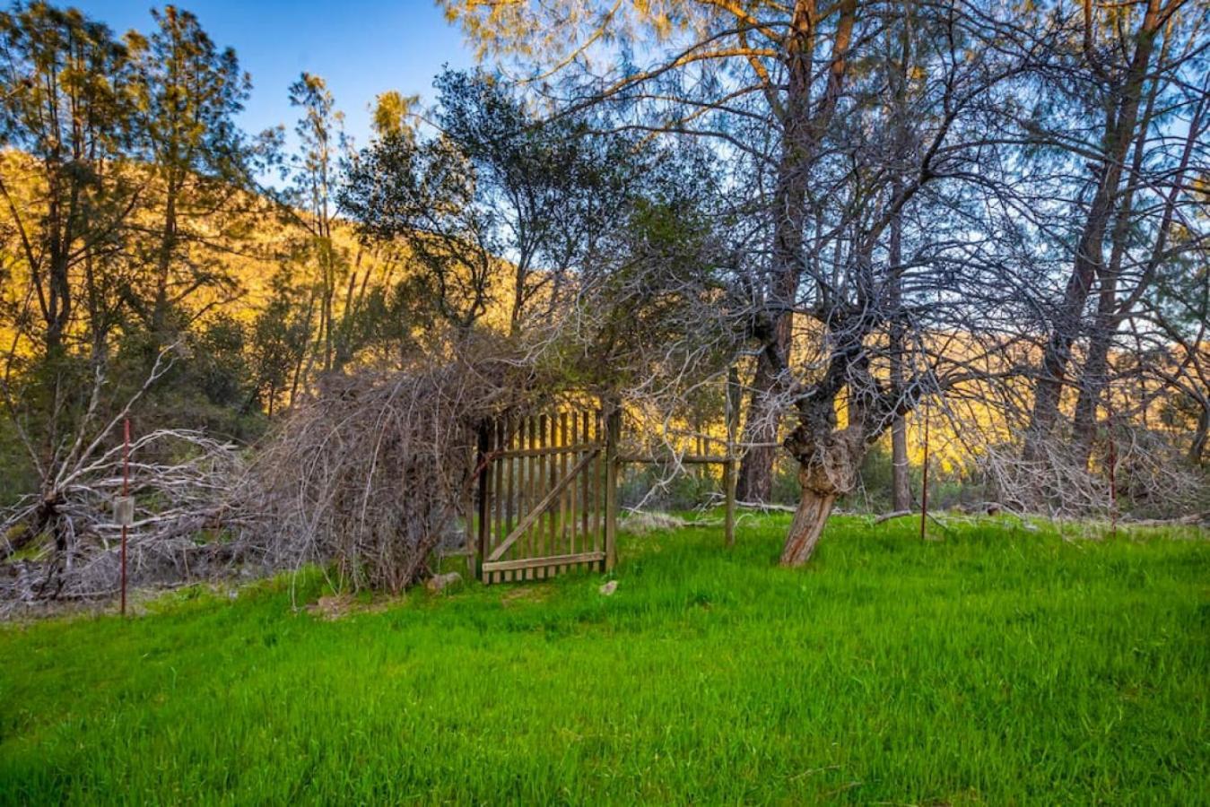 Sierra Vista Lookout Lodge With Creek, Waterfall And Waterholes, Minutes From Bass Lake And Yosemite South Gate North Fork Екстер'єр фото