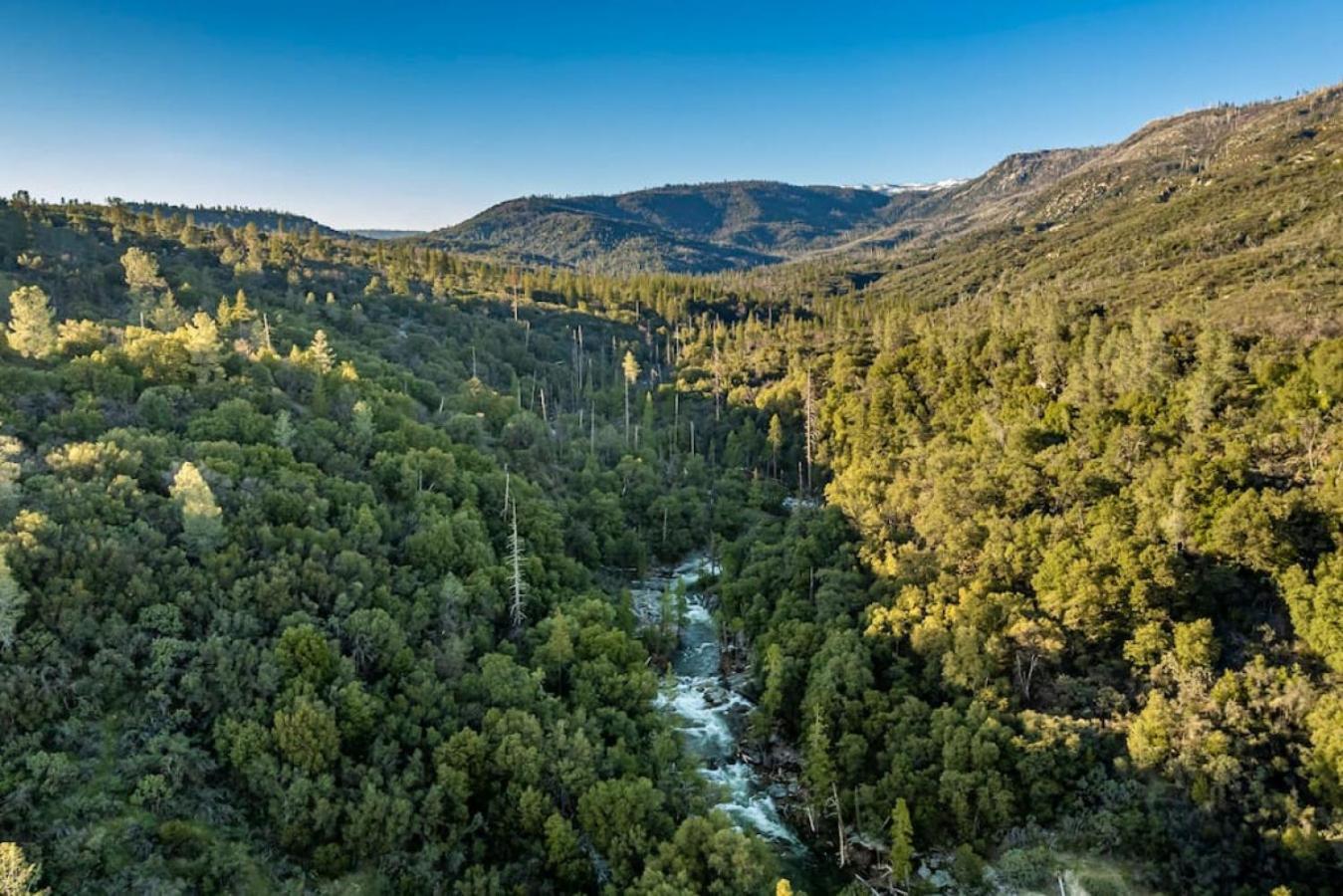 Sierra Vista Lookout Lodge With Creek, Waterfall And Waterholes, Minutes From Bass Lake And Yosemite South Gate North Fork Екстер'єр фото